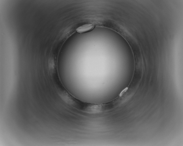 X0000111390084200907101155