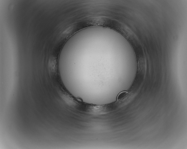 X0000111390092200907101155