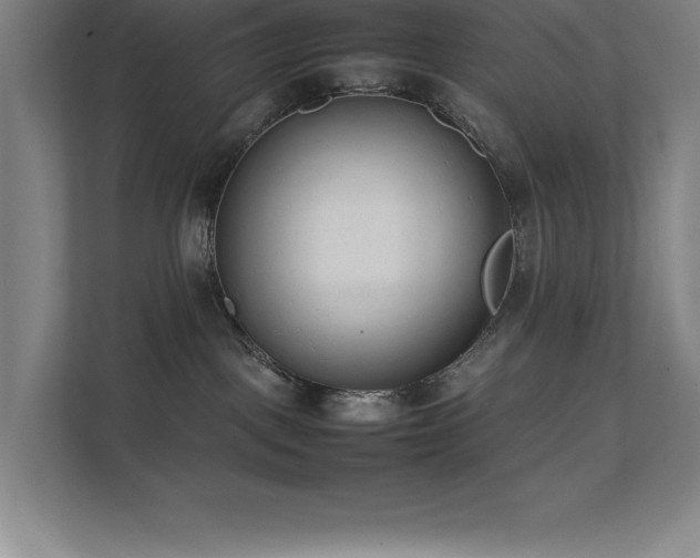 X0000111390093200907101155