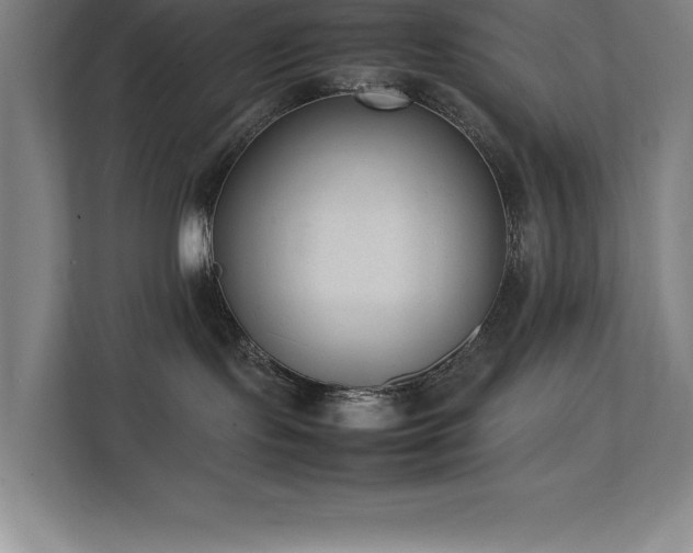 X0000111390095200907101155