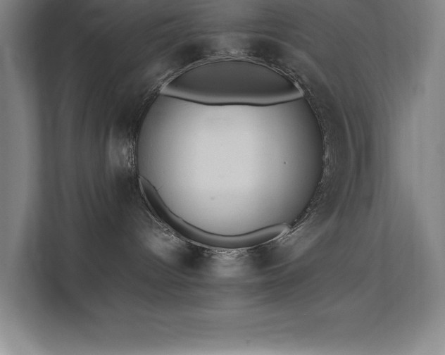 X0000111390096200907101155