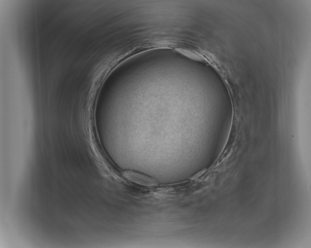 X0000111390097200907101154