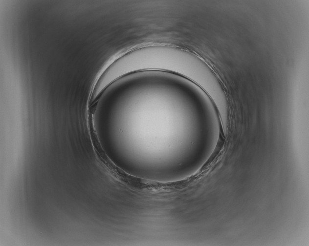 X0000111390100200907101154