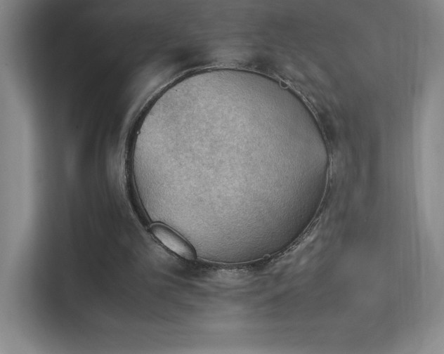 X0000111390101200907101154