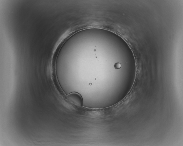 X0000111390102200907101154