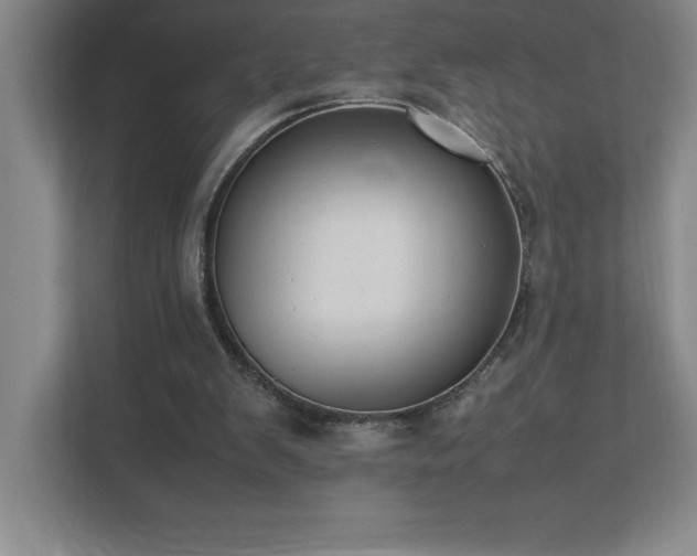 X0000111390103200907101154