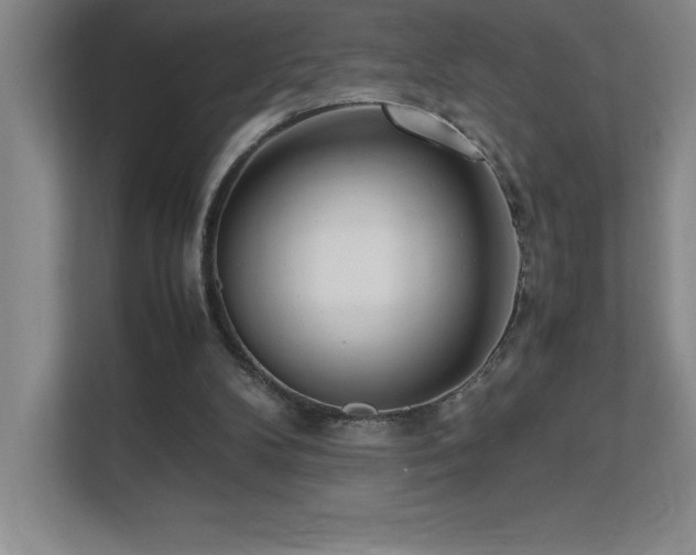 X0000111390104200907101154