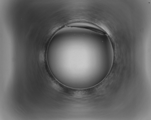 X0000111390105200907101154