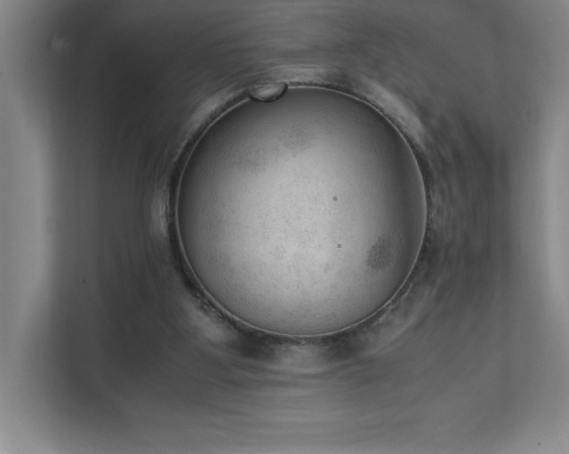 X0000111390107200907101154