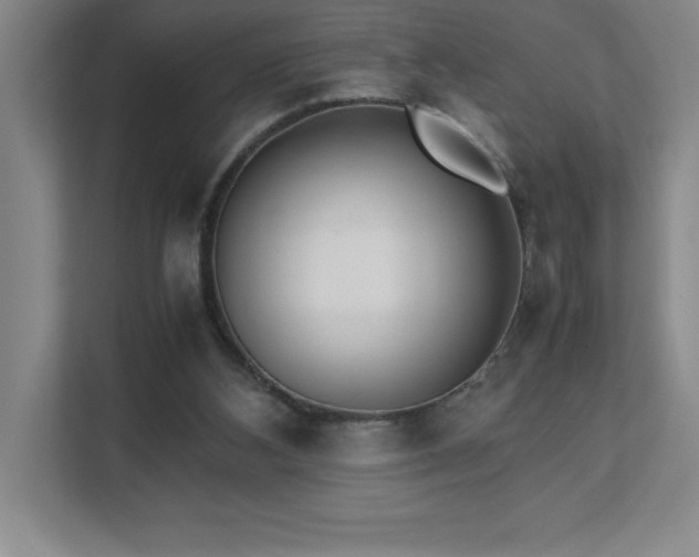 X0000111390108200907101154