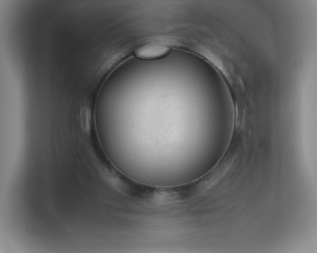 X0000111390109200907101154