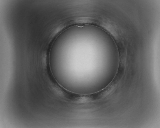 X0000111390111200907101154