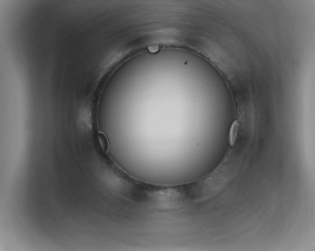 X0000111390112200907101154