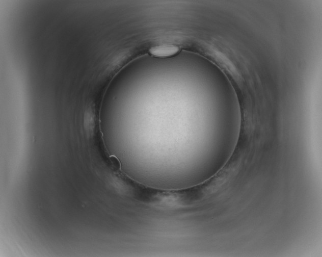 X0000111390113200907101154