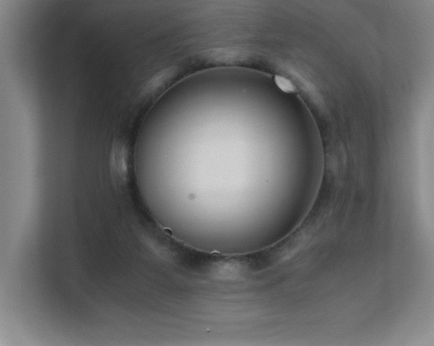 X0000111390115200907101154