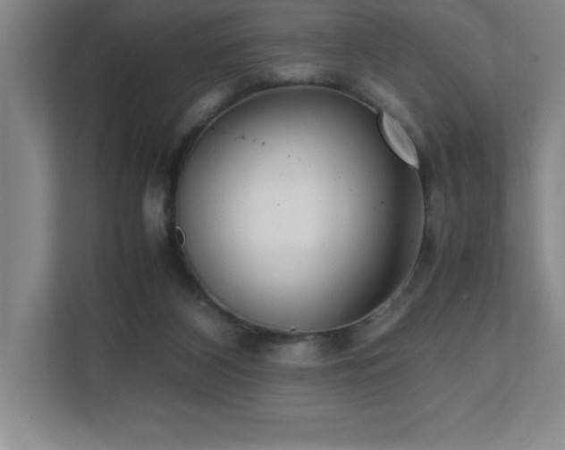 X0000111390116200907101154