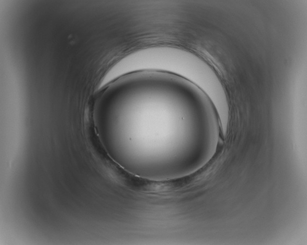 X0000111390117200907101154