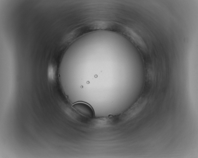 X0000111390118200907101154