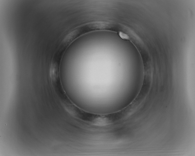 X0000111390119200907101154