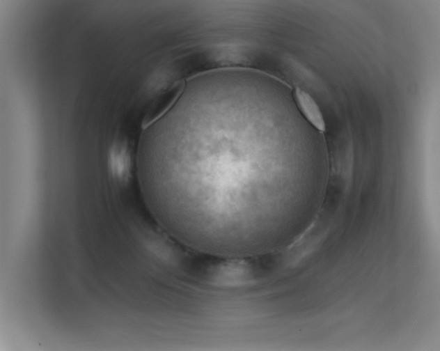 X0000111390124200907101154