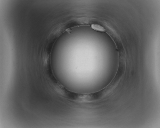 X0000111390125200907101154