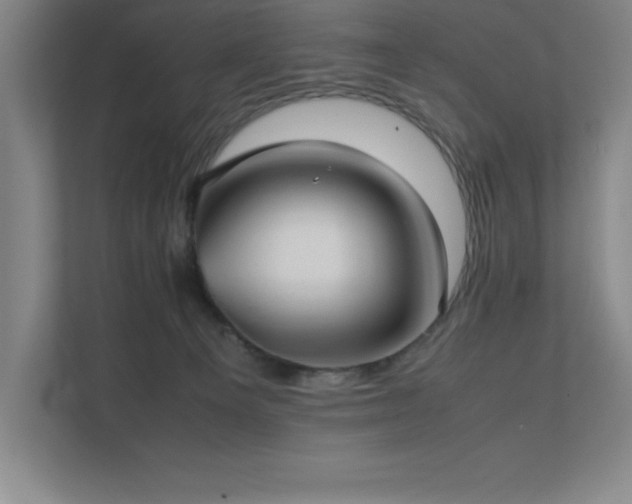 X0000111390129200907101154