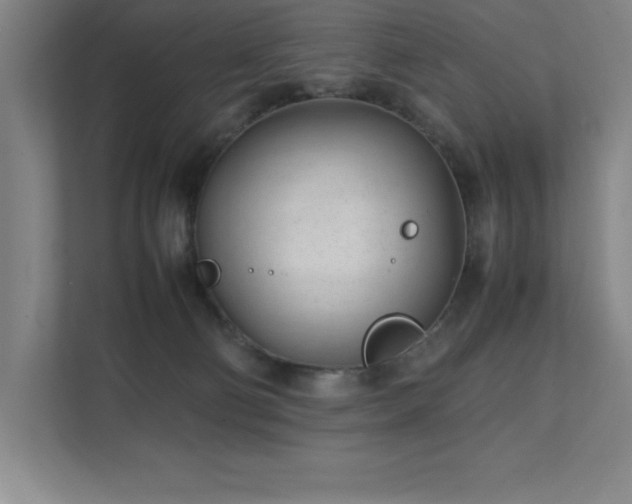 X0000111390130200907101154