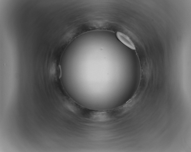 X0000111390132200907101154