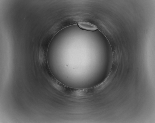 X0000111390136200907101154