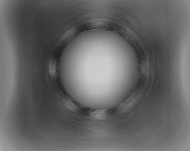 X0000111390138200907101154