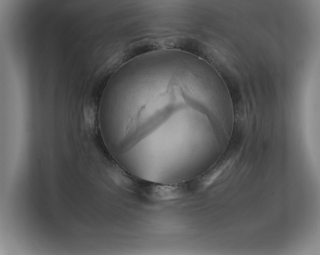 X0000111390139200907101154