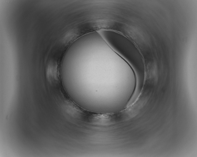 X0000111390140200907101154