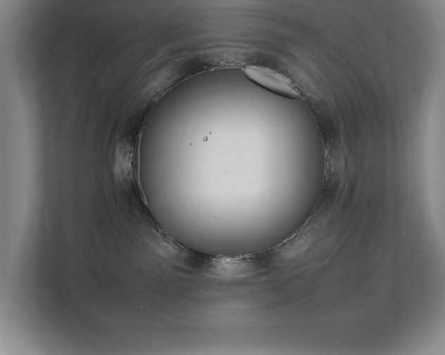 X0000111390141200907101154