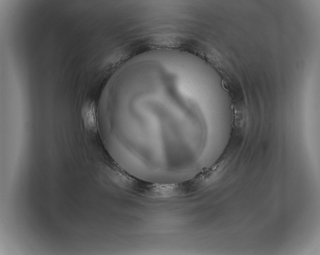 X0000111390143200907101154