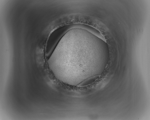 X0000111390144200907101154