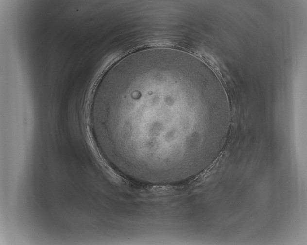 X0000111390145200907101153