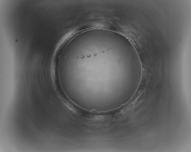 X0000111390149200907101153