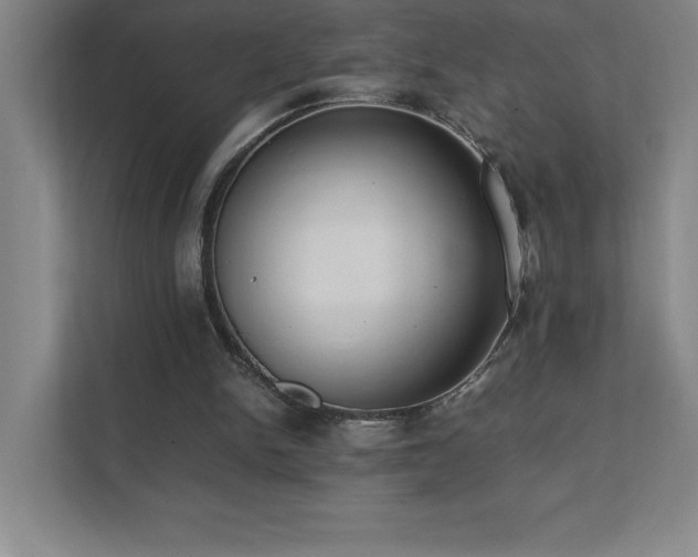 X0000111390150200907101153