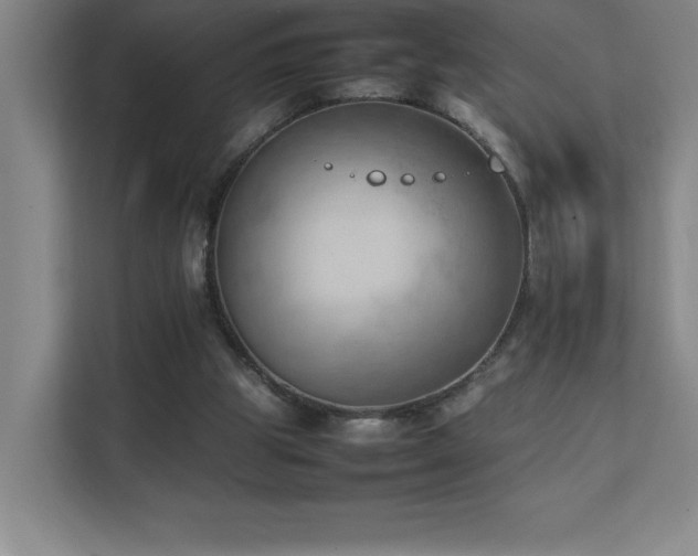 X0000111390153200907101153