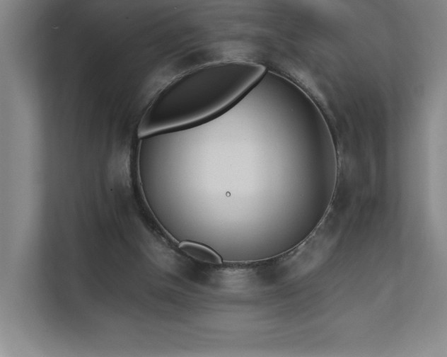 X0000111390154200907101153