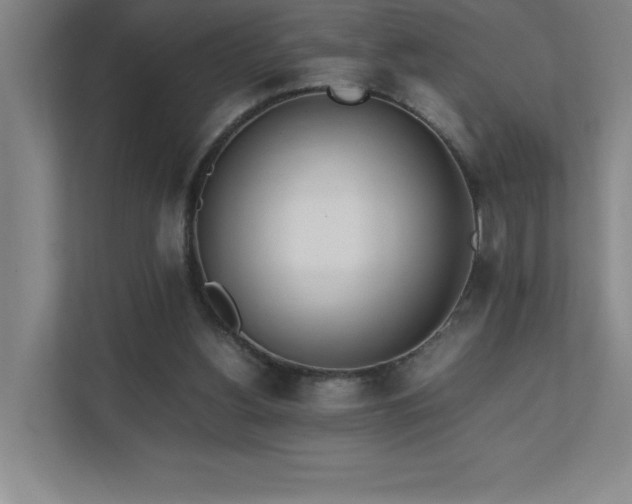 X0000111390156200907101153