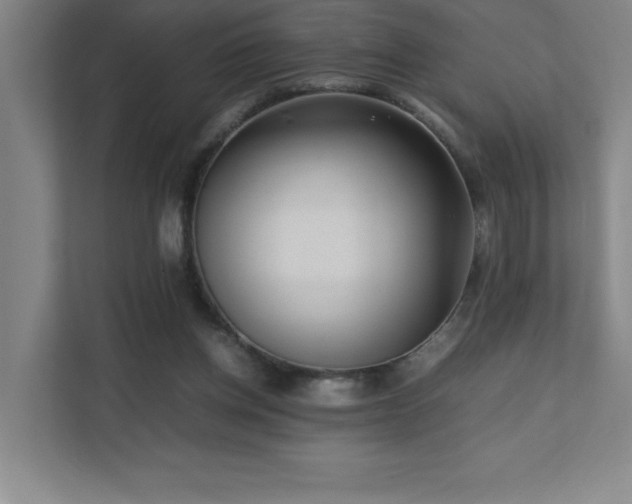 X0000111390158200907101153