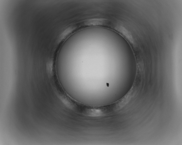 X0000111390159200907101153