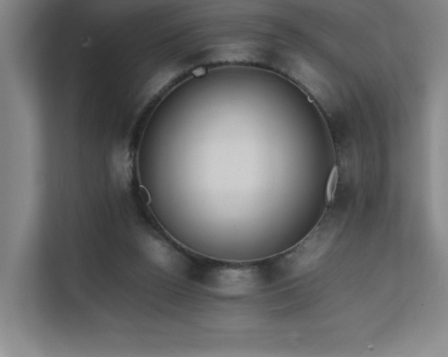 X0000111390160200907101153