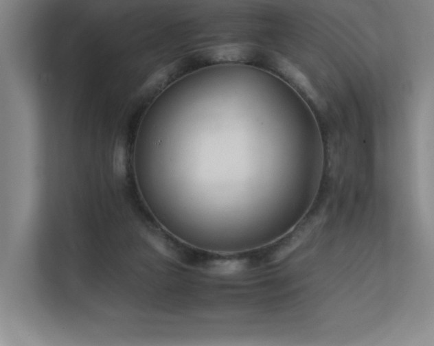 X0000111390161200907101153