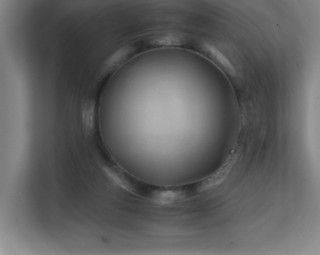 X0000111390163200907101153