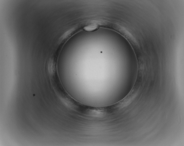 X0000111390164200907101154