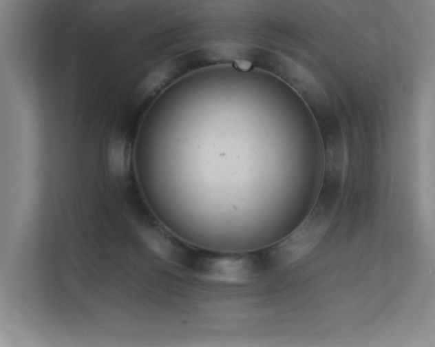 X0000111390168200907101154