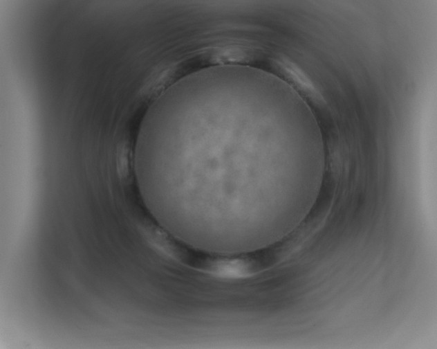 X0000111390169200907101154