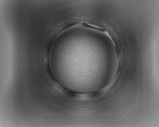 X0000111390170200907101154